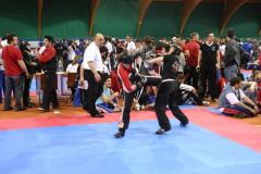 picture-0030