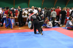 picture-0033
