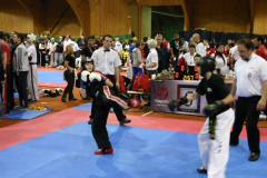 picture-0038