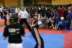 picture-0039