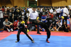picture-0050