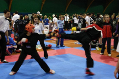 picture-0073