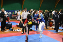 picture-0078