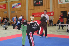 picture-0027