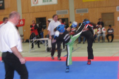 picture-0029