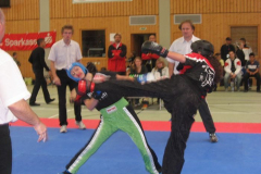 picture-0032