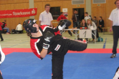 picture-0035