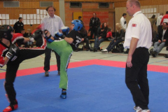 picture-0041