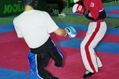 bm2007tw382