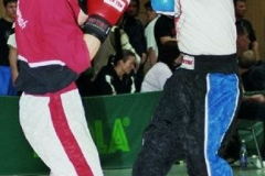 bm2007tw384