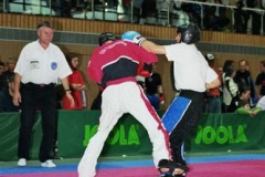 bm2007tw386