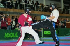 bm2007tw387