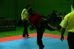 picture-0002