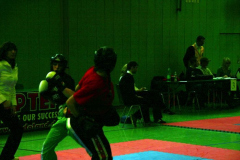 picture-0005