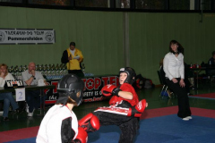 picture-0008