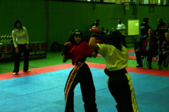 picture-0009