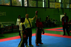 picture-0010