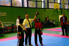 picture-0011