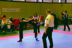 picture-0013