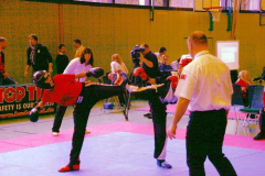 picture-0015