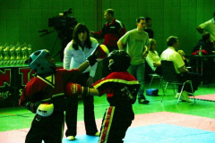 picture-0029