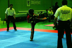picture-0037