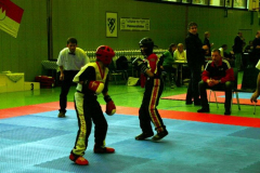 picture-0038