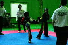 picture-0039