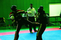 picture-0040