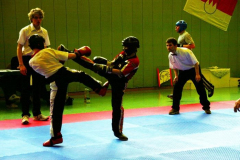 picture-0049