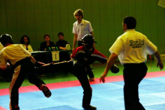 picture-0050