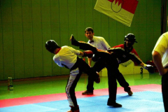 picture-0052