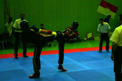 picture-0060