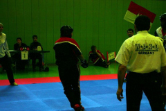 picture-0061