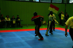 picture-0062