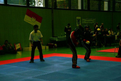 picture-0063