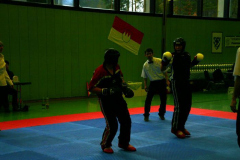 picture-0065