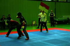 picture-0066