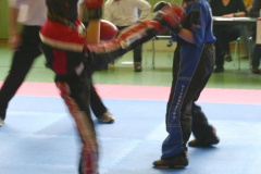 picture-0003