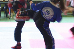 picture-0004