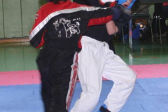 picture-0009