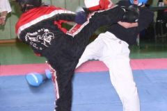 picture-0010