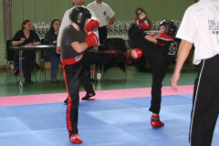 picture-0014
