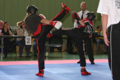picture-0016