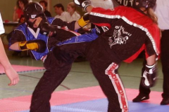 picture-0021