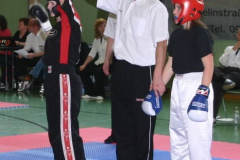 picture-0033