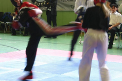 picture-0038