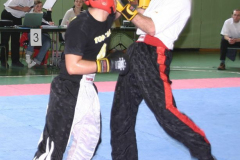 picture-0046