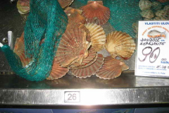 EM-Pula_051