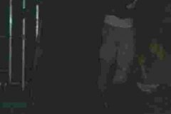 0310110040
